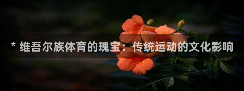 星欧娱乐属于什么档次
