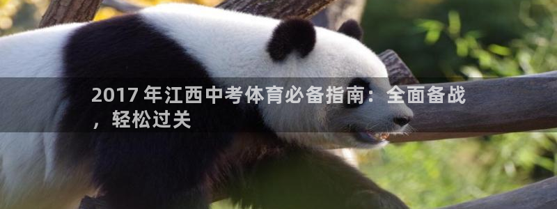 星欧娱乐的创始人背景故事介绍