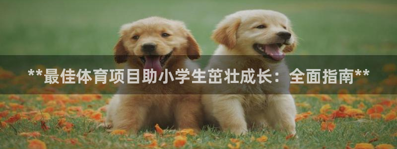 星欧娱乐属于什么档次的公司啊