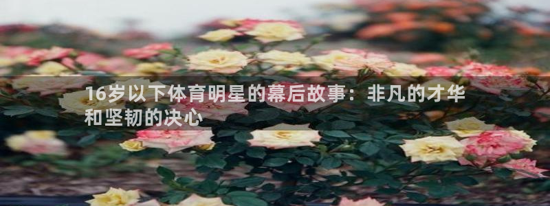 星欧娱乐平台怎么样