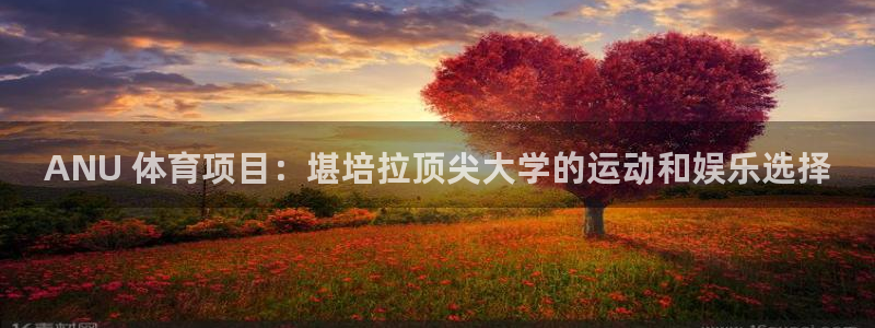 星欧娱乐扣款流程详解视频