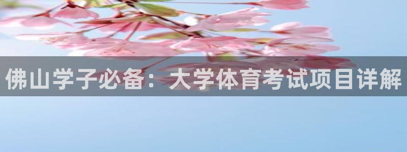 星欧娱乐扣款