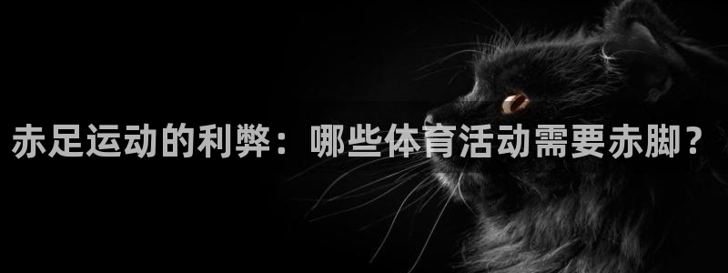 星欧娱乐的创始人背景故事