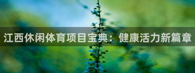 星欧娱乐扣款流程详解图高清