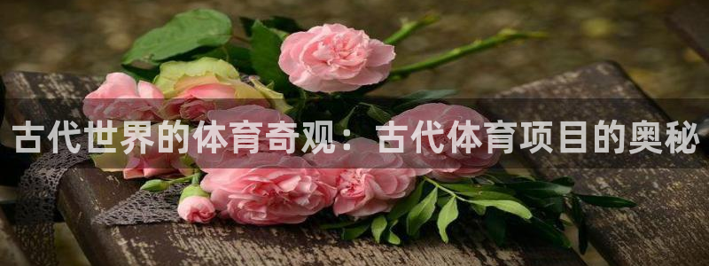 星欧娱乐法最新进展