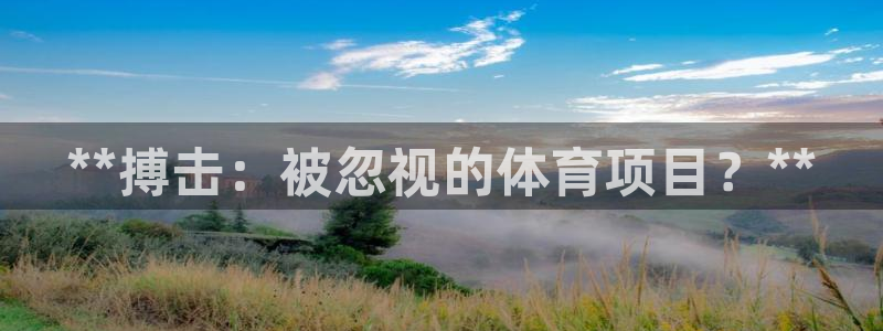 星欧娱乐属于什么档次的公司