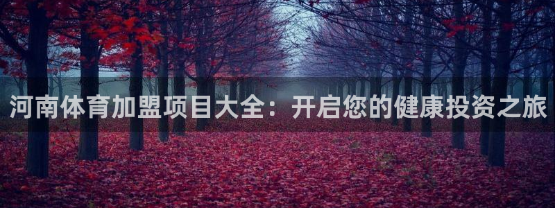 星欧娱乐扣款流程详解