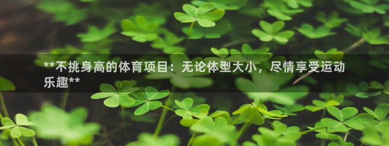 永韬星娱乐