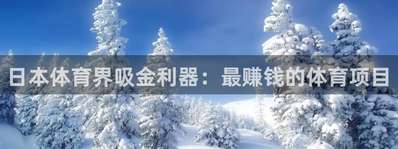 星欧娱乐平台怎么样啊可靠吗