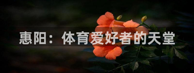 星欧娱乐最建议买的三个产品是哪三个
