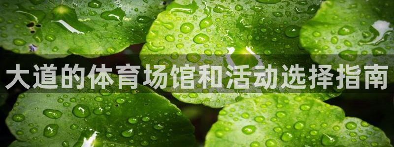 星欧娱乐是正规平台吗