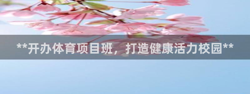 星欧娱乐的官方版本更新内容