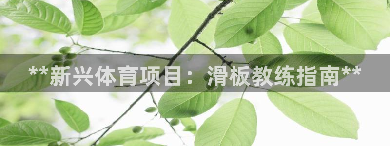 星欧娱乐工711.11是正规的吗