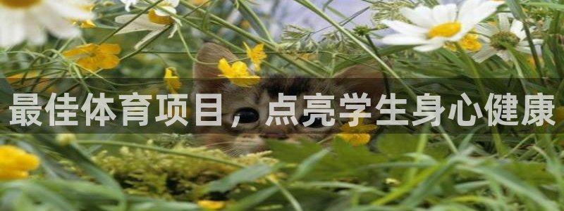 星欧娱乐是正规平台吗可靠吗