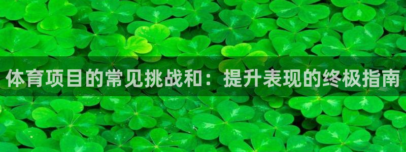 星欧娱乐退款流程详解