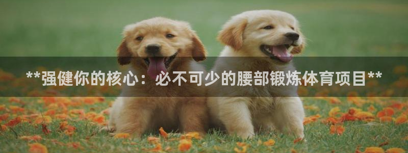 星欧娱乐用户名和密码