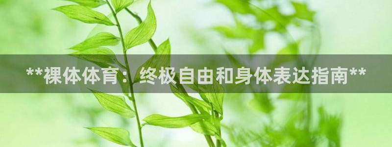 星奥娱乐怎么样