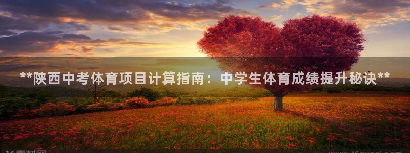 星娱乐文化传媒