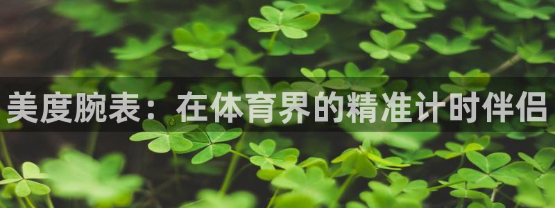 星澳娱乐公司怎么样