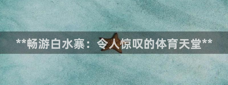 星奥娱乐待遇怎么样