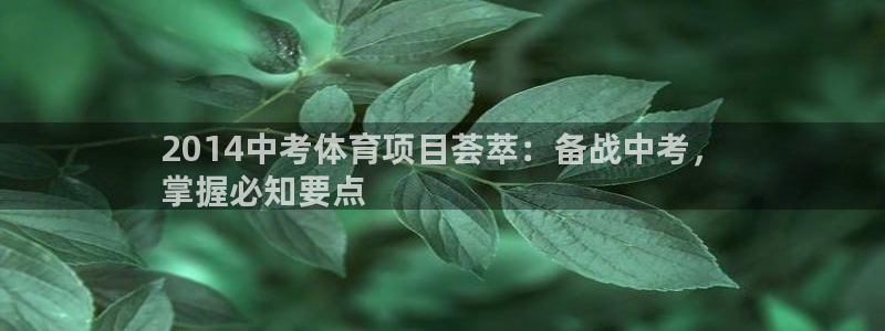 星欧娱乐用户名和密码