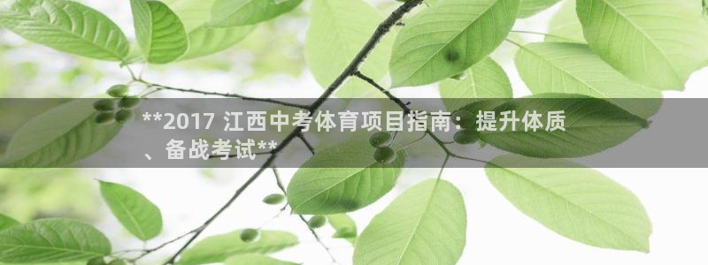 星欧娱乐平台怎么样啊