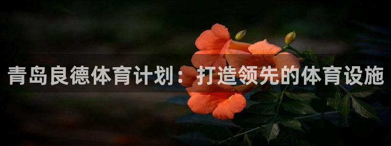 星欧娱乐扣款时间查询方法是什么呢