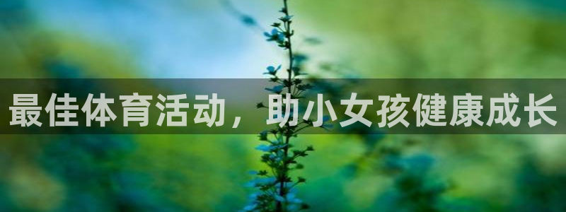 星欧娱乐扣款流程详解图