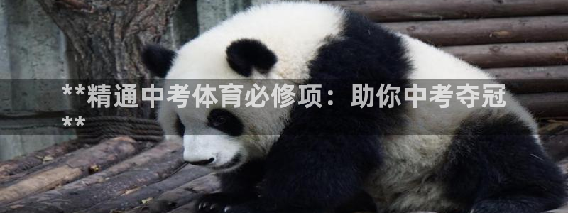 星欧娱乐彩票软件下载安装