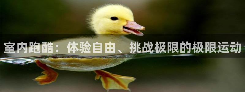 星欧娱乐官网下载安装