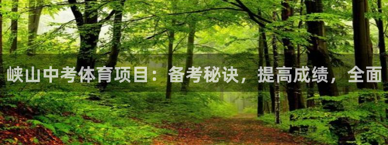 传奇星娱乐