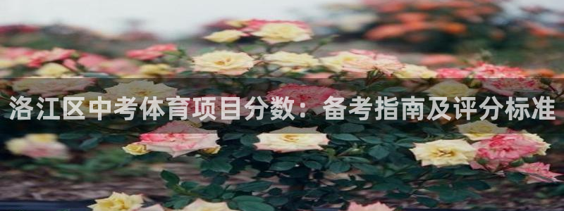 星欧娱乐app最新版本更新内容
