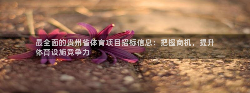 星欧娱乐公司创始人背景故事简介