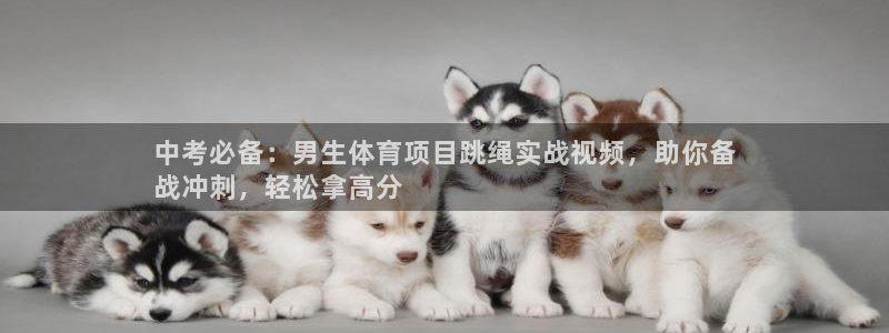 星乐娱乐