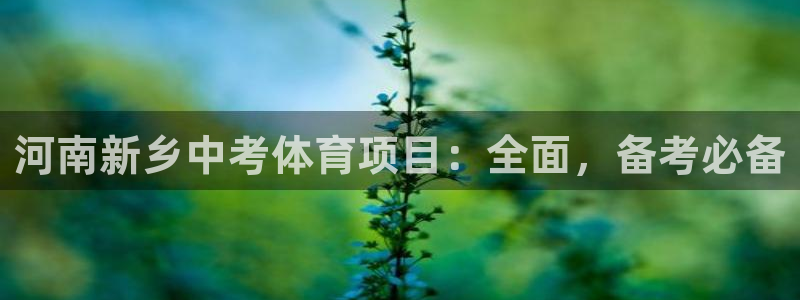 星欧娱乐扣款流程详解图片