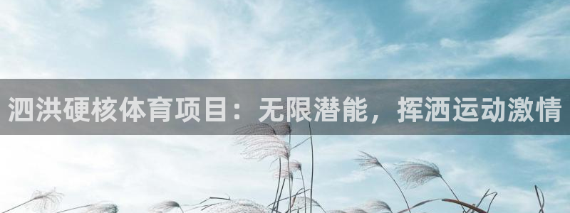 星欧娱乐载711.112使用教程详解