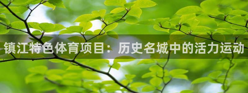 星欧娱乐是正规品牌吗