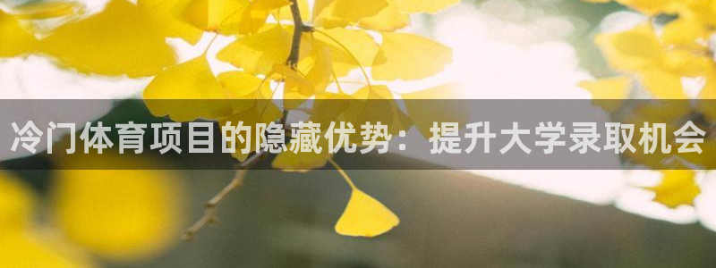 星欧娱乐法711.112不退款后果