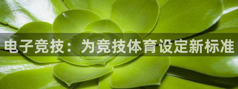 星欧娱乐联最新功能介绍