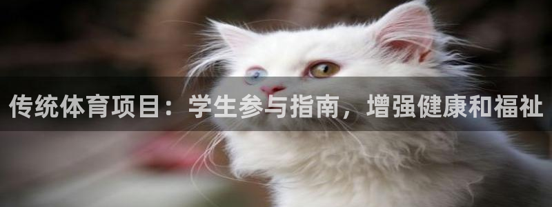 星娱乐文化传媒