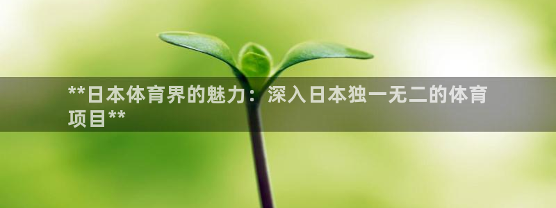 星欧娱乐联最新功能介绍