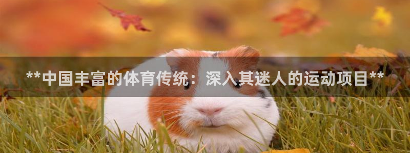 星奥娱乐旗下艺人