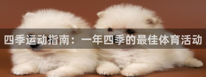 星娱乐包月是干嘛的