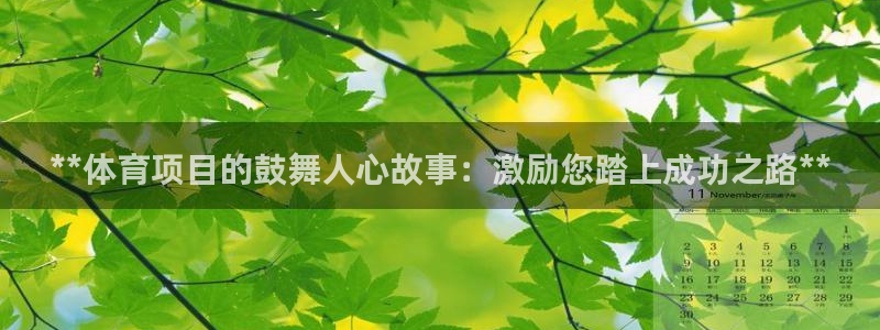 星游娱乐下载地址