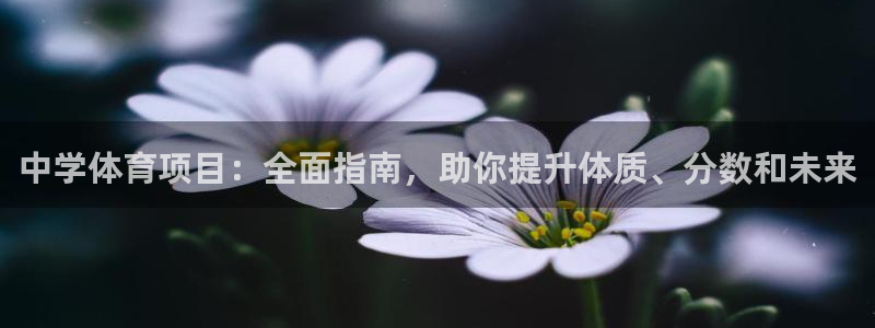 星欧娱乐是正规品牌吗