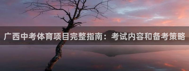 江苏星奥娱乐有限公司报名