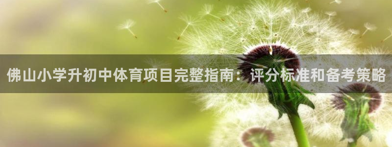 星欧娱乐的官方版本更新内容是什么