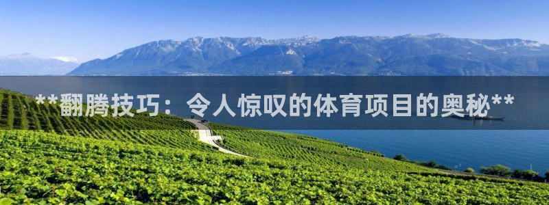 星欧娱乐平台测速线路设置