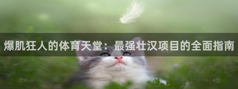星欧娱乐平台怎么样啊知乎