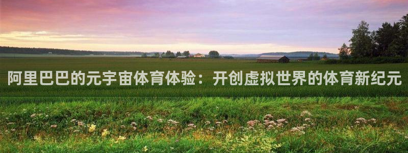 星欧娱乐官网